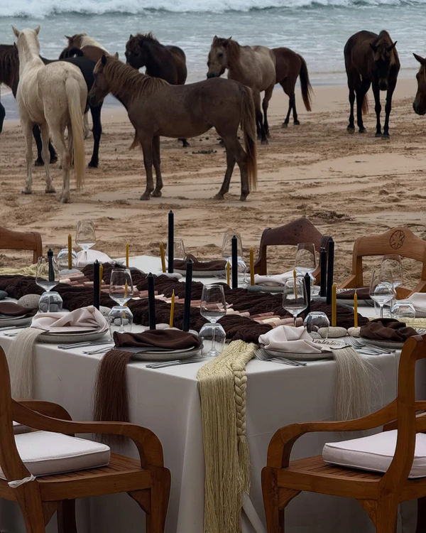 <a href="https://www.instagram.com/p/DYJCSFpk_ww/?img_index=3">Dada Island</a>