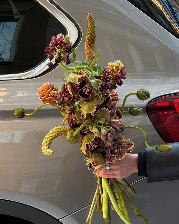 <a href="https://www.instagram.com/p/DGxZ0VitnWk/?img_index=1">Mutabor Flower Service</a>