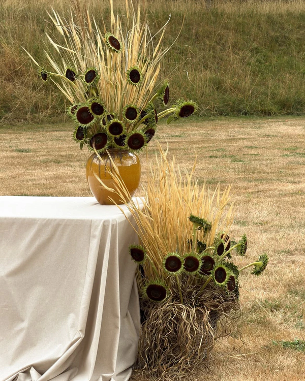<a href="https://www.instagram.com/p/DblPWQljSpa/?img_index=1">Mutabor Flower Service</a> 
