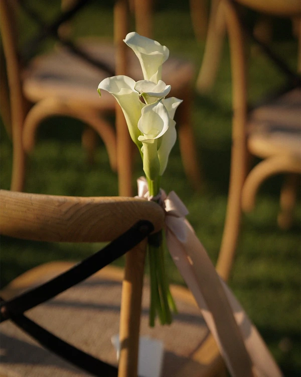<a href="https://www.instagram.com/p/DbilFfBF0Eh/?img_index=4">Tali Weddings & Events</a>