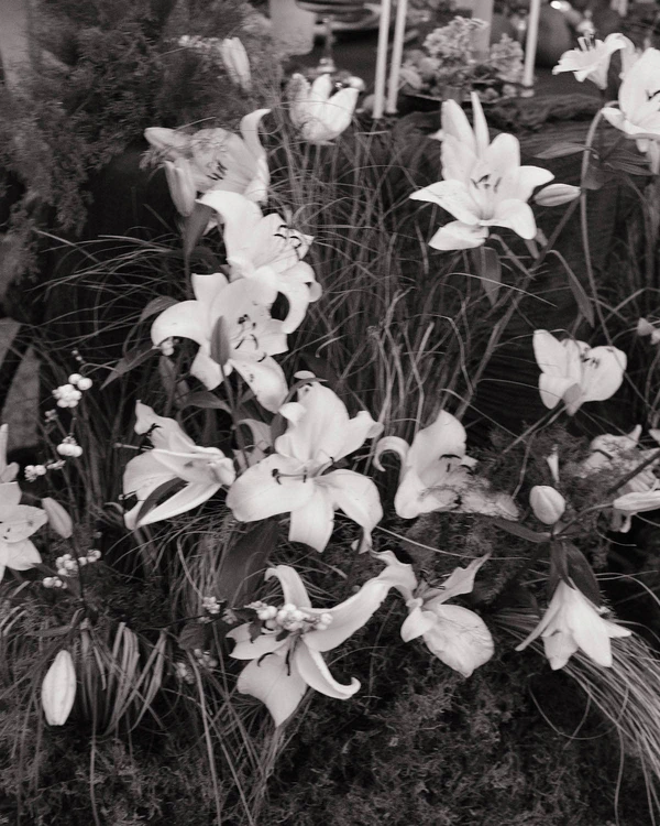 A Garden of Quiet Promises — photo 1