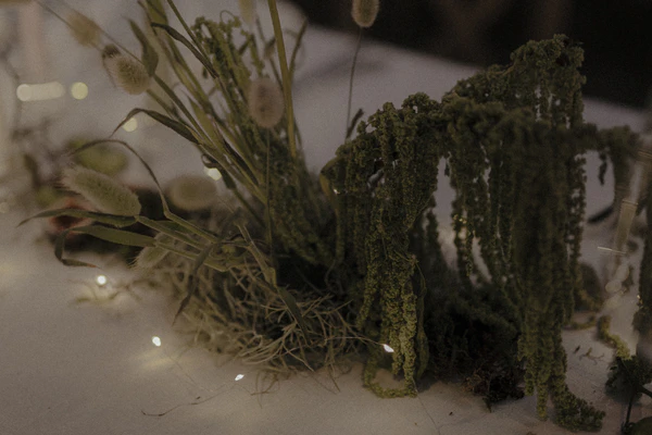 An Intimate Sustainable Wedding in China