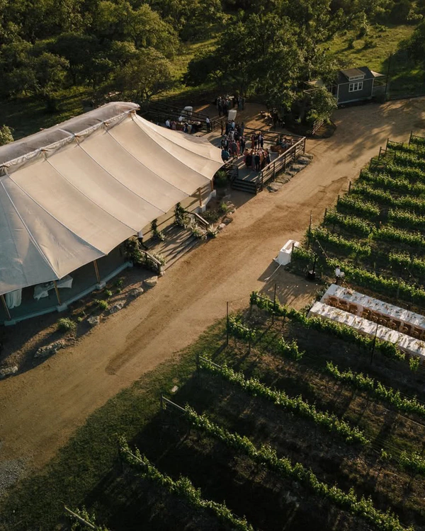 10 Best Vineyard Wedding Venues in the US