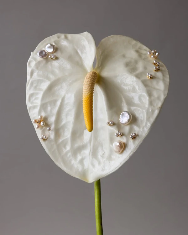 10 Flower Varieties Trending for 2026 Weddings