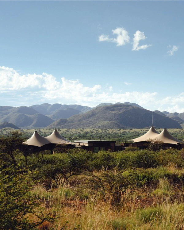 14 Luxury African Safari Lodges & Resorts for an Unforgettable Honeymoon