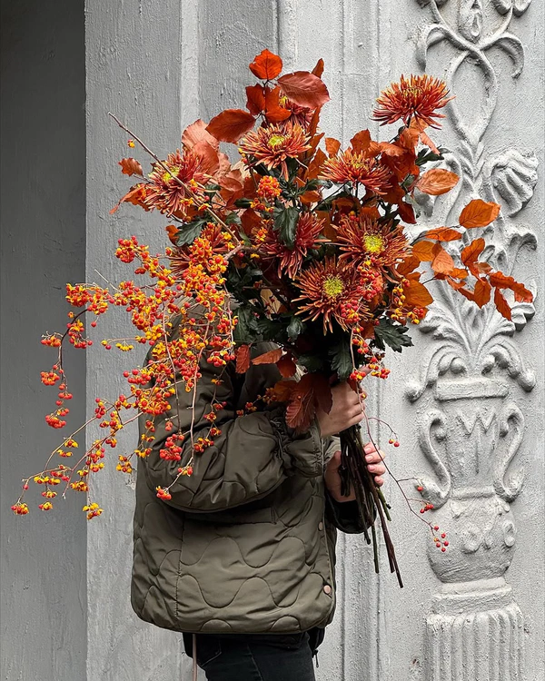 <a href="https://www.instagram.com/p/DPvl6KFDTwi/?img_index=2">Mutabor Flower Service</a>