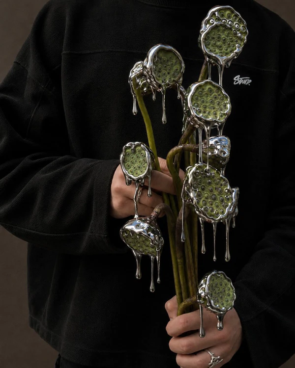 <a href="https://www.instagram.com/p/DcY94GytjJ7/">Gardenist Concept</a>