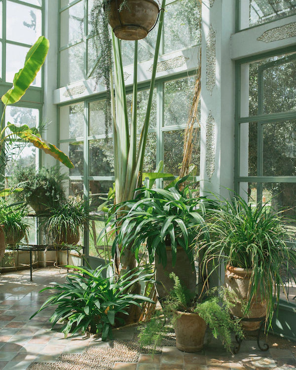A Vibrant Wedding in the Gardens of Marrakech