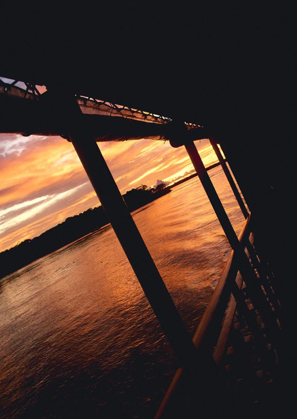 <a href="https://www.instagram.com/p/DbjwxBdGAg3/?hl=en">Delfin Amazon Cruises</a>