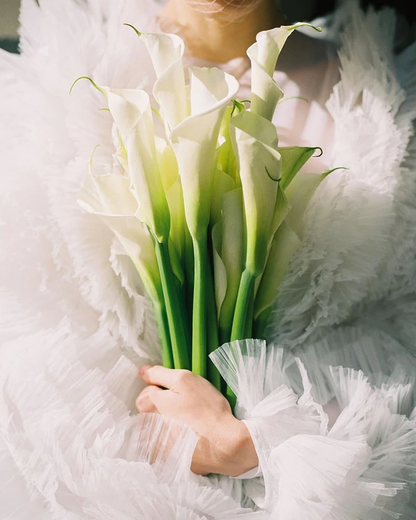 25 Clever Ways to Save Budget On Your Wedding
