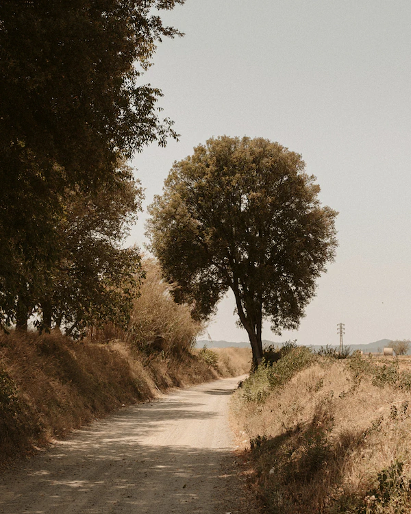 A Poetic Wedding in a Charming Barcelona Village
