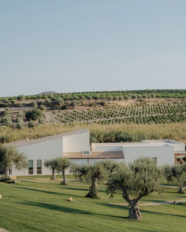 <span><a href="https://www.instagram.com/p/DYCxTIPlCj7/?hl=en&img_index=2">Il San Corrado di Noto</a></span>
