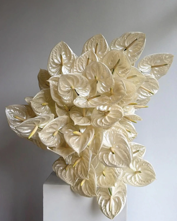 <a href="https://www.instagram.com/p/DYIRQM_DRnI/"><span>Sunnie Art Flowers</span></a>