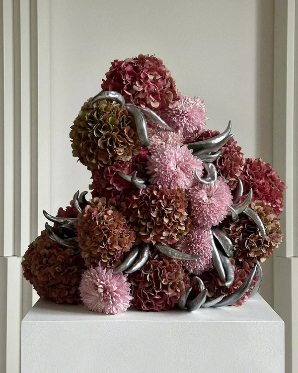 <a href="https://www.instagram.com/p/DB0pm8CMGtu/?img_index=1">Beans and Flowers</a>