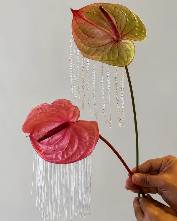 <a href="https://www.instagram.com/p/DZhb1hVA8es/">Odeur Flowers</a>