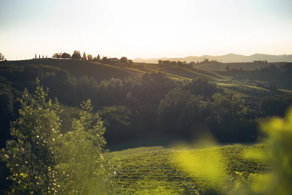 La Villa Hotel, wedding venues in Italy, Europe