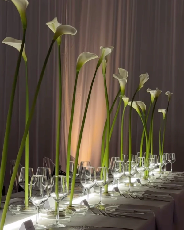 50 Unique Calla Lily Decor Ideas for Every Wedding Style — photo 1