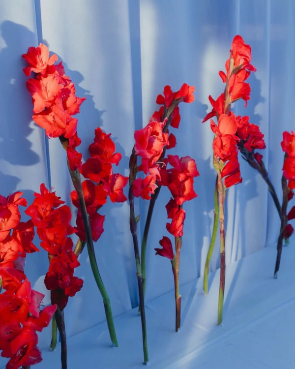9 Fresh Color Combinations Defining Spring 2026 Weddings