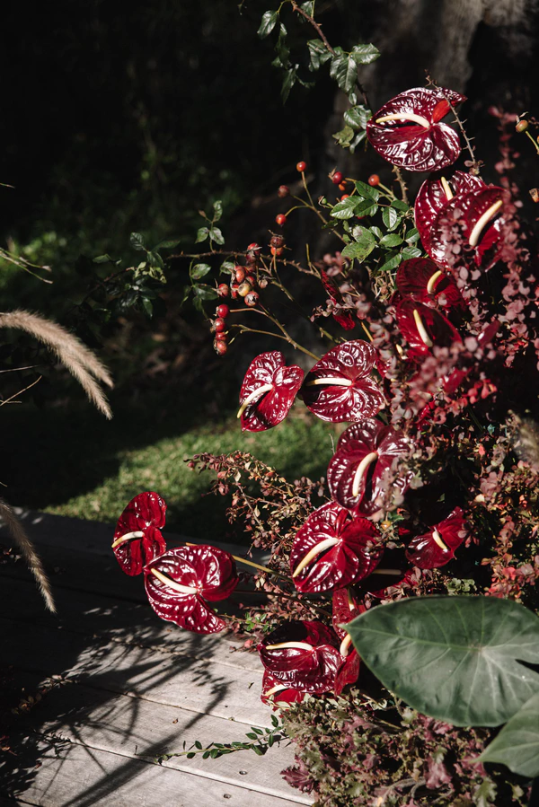 A Darkly Romantic Wedding Soirée