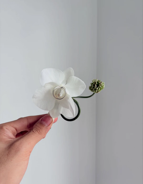 <a href="https://www.instagram.com/p/DbQaqWGmQz_/?img_index=1">Flower Studio</a>