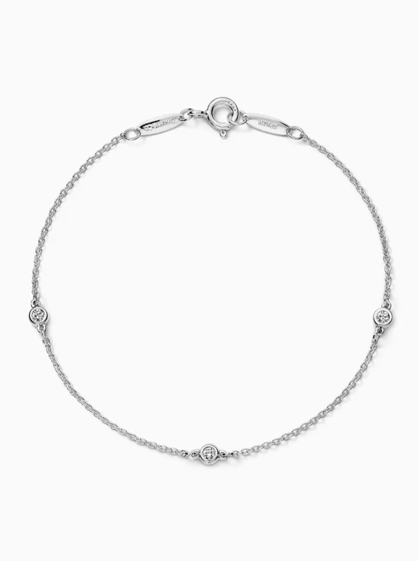 <a href="https://www.tiffany.com/jewelry/bracelets/ep-diamonds-by-the-yard-sterling-silver-round-brilliant-diamonds-bracelets-60131448.html?gclsrc=aw.ds&gad_source=1&gad_campaignid=21137901056&gbraid=0AAAAAD-_9SDpjsjD0WTwBcsSOtvHbwvqR&gclid=EAIaIQobChMI9piMlpWClwMVWW9HAR2kFxO_EAQYAyABEgIiwvD_BwE">TIFFANY & CO. Diamond Bracelet, $1,450</a>