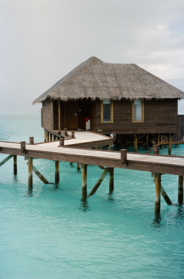 10,000 Lilies & Turquoise Waters Framed This Dreamy Beach Wedding in the Maldives
