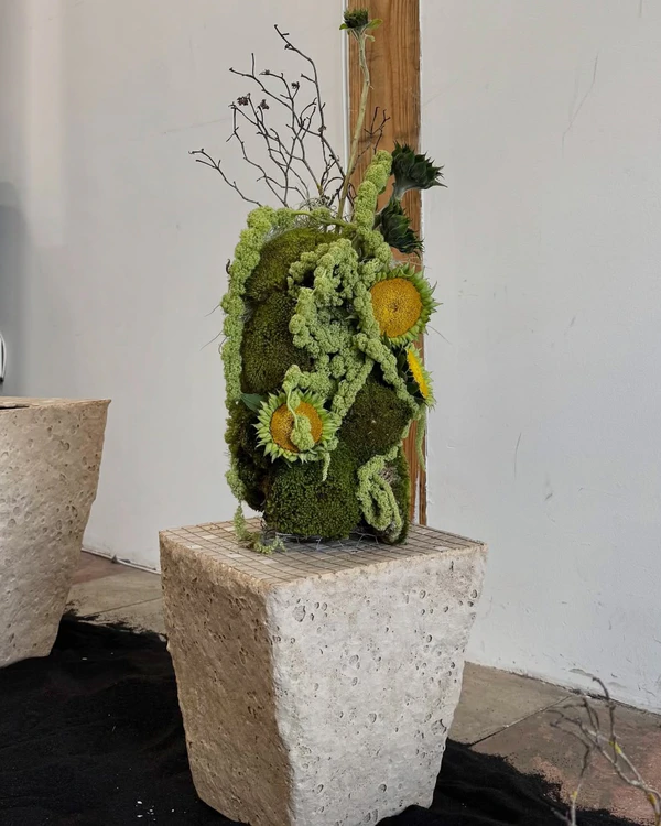 <a href="https://www.instagram.com/p/DJkPUemzfQM/?img_index=1">PüL Flower</a>