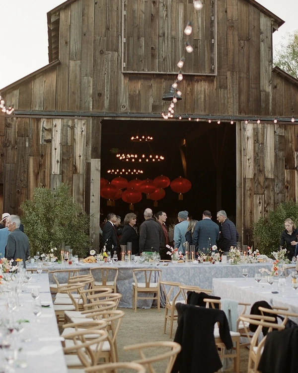 A Captivating Vineyard Wedding in California