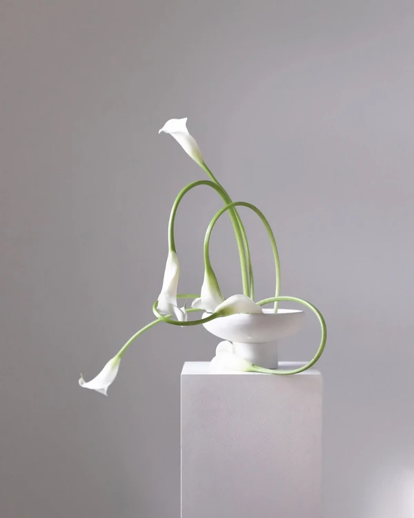 38 Calla Lily Arrangement Ideas