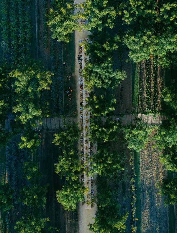 <a href="https://www.instagram.com/p/DbM8Wv9CmJ-/?img_index=13">Studio Sorores</a>, Photography: <a href="https://www.instagram.com/thisisaerial/">This is Aerial</a>