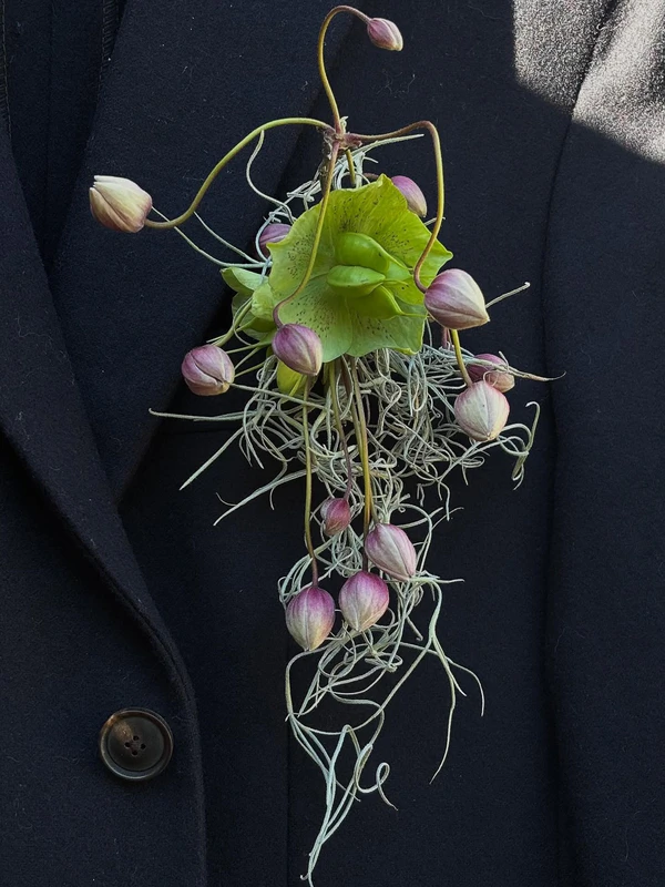 <a href="https://www.instagram.com/p/DYBzrcdlhUY/?img_index=1">Blooms Uncut</a>