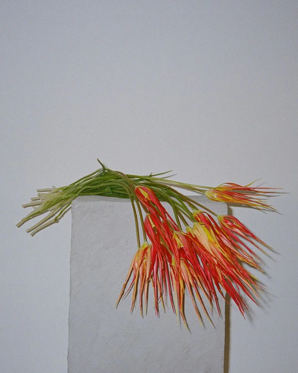 Trend: Artistic Arrangements