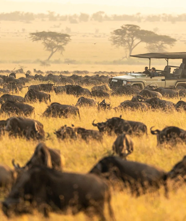 <a href="https://www.instagram.com/p/DaKUBA6IvsN/">Singita</a>