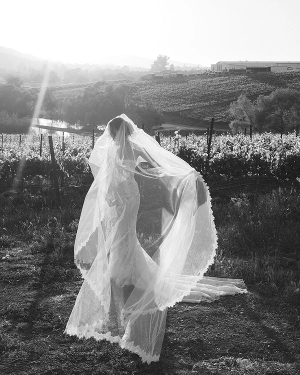 A Captivating Vineyard Wedding in California