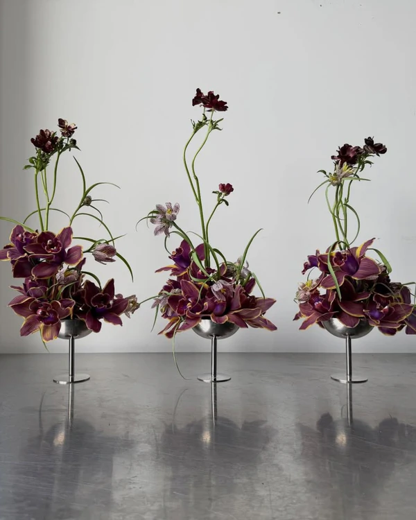 <a href="https://www.instagram.com/p/DWWkF9GkTpu/?igsh=MWdiZ2ZrMGQ0YWlqcw==">Future Flowers</a>