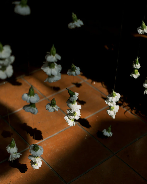 "I Want My Photographs to Be Honest Above All" — Olive and Oath