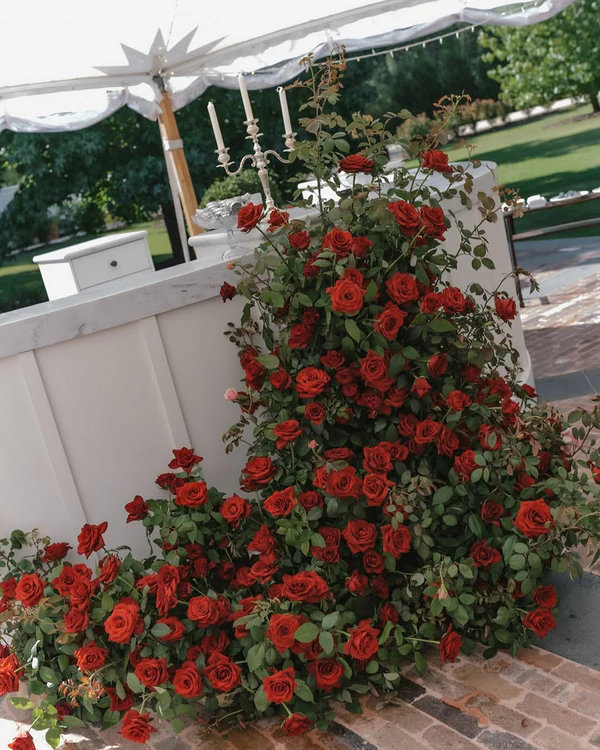 A Guide to the Best Wedding Flower Varieties for Every Season