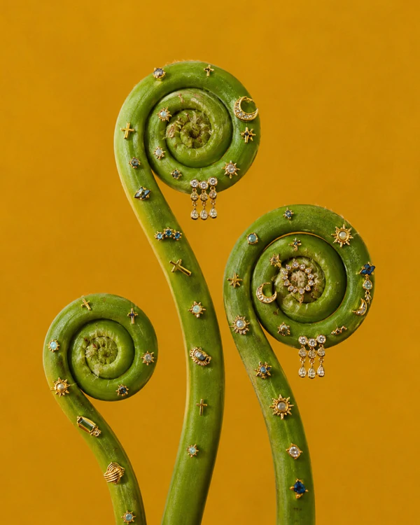 <a href="https://www.instagram.com/p/DZSb6XcDc3I/?img_index=2">Goshá Flowers</a>