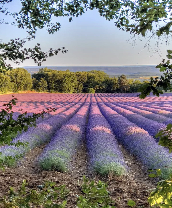 Content: <a href="https://www.instagram.com/p/DLon9ghiCC5/">Maison Vue Provence</a>