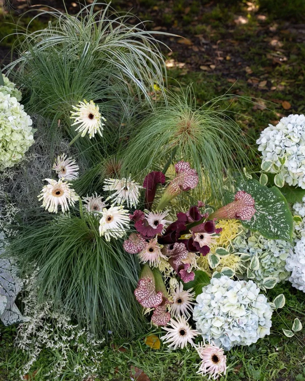 21 Best Florists in Australia