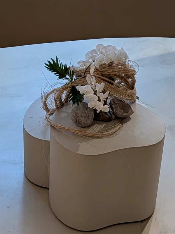 <a href="https://www.instagram.com/yokonegi_studio/p/DZbvxbnjKz9/?img_index=2">Yoko Negi Flower Studio</a>