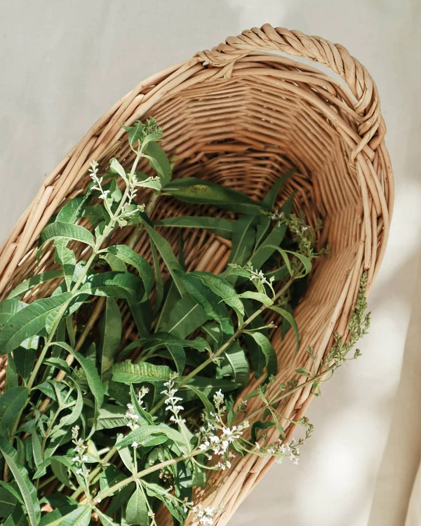 Herbaceous Bridal Bouquets