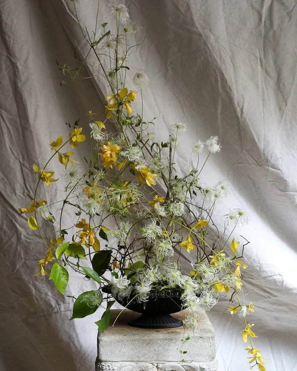 A Guide to the Best Wedding Flower Varieties for Every Season