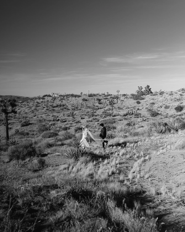 A Serene Joshua Tree Elopement