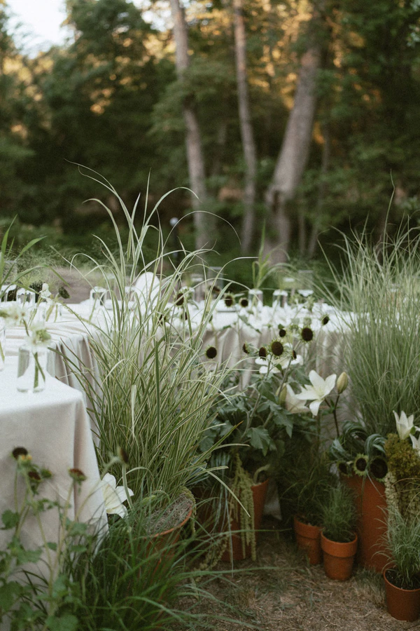 Influencer Jade Mitchell-Clyde's Chic Black-Tie Wedding in California's Gold Country