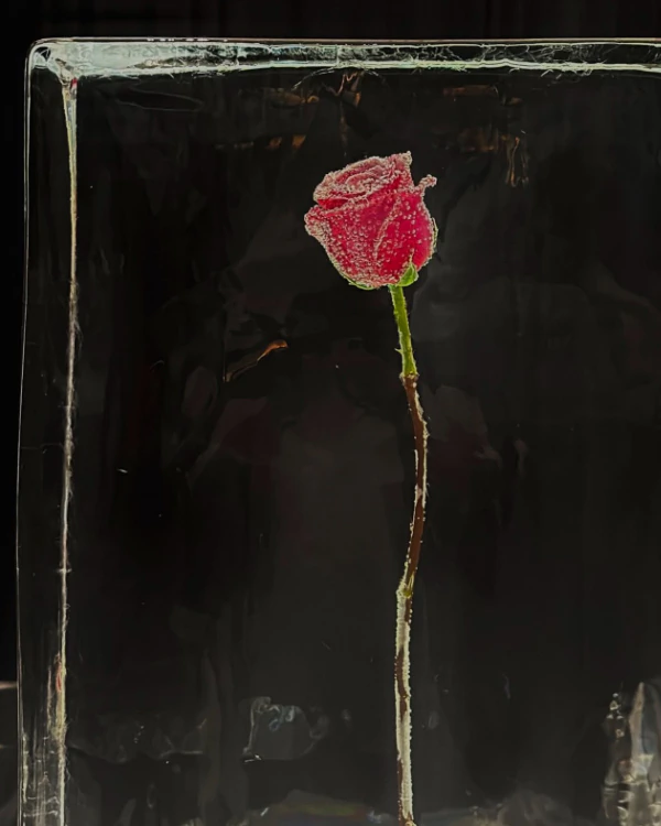35 Ways to Style Freestanding Floral Stems