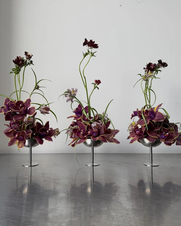 <a href="https://www.instagram.com/p/DWWkF9GkTpu/">Future Flowers</a>