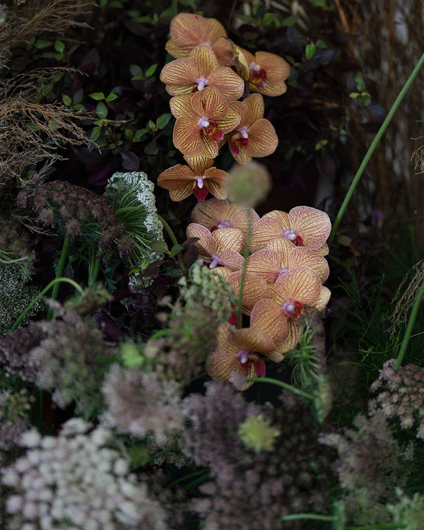 Botanical Romance