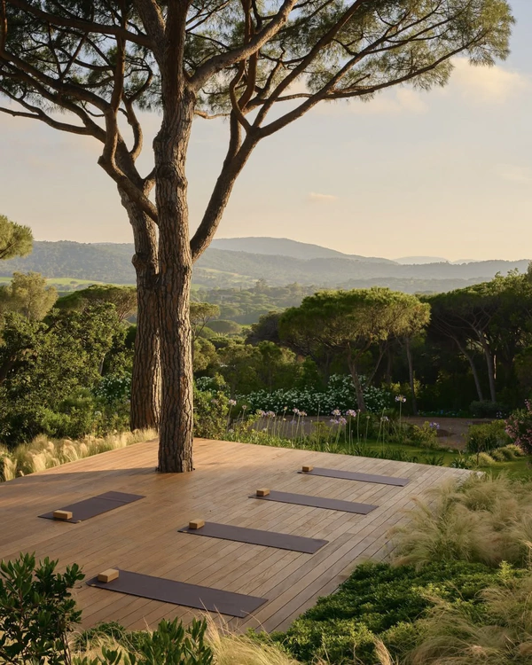The White Lotus Season 4 Filming Location Confirmed as This Iconic Wedding Venue in France