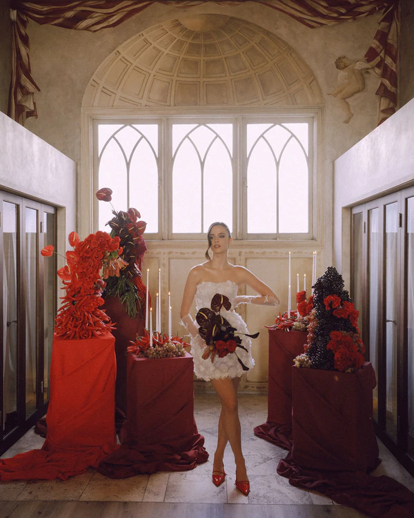 Moody Red Romance — photo 1